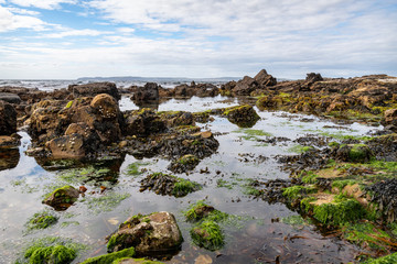 Antrim Coastline, Nr Ballycastle, Antrim, Northern Ireland