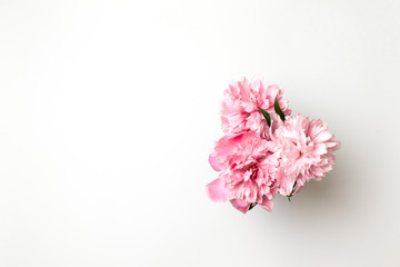 Beautiful pink peony flowers on white table with copy space for your text top view and flat lay style