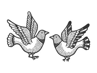 Dove pigeon birds tattoo sketch engraving vector illustration. Scratch board style imitation. Hand drawn image.