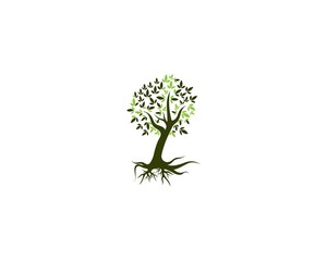 Obraz premium Green logo of tree ecology nature element vector