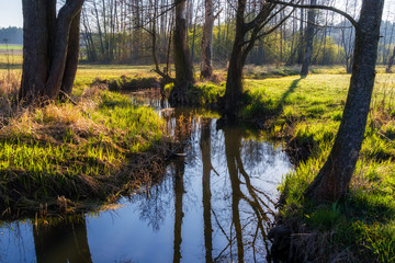 Magiczny krajobraz Podlasia, Polska. © podlaski49