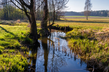 Magiczny krajobraz Podlasia, Polska. © podlaski49
