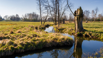 Magiczny krajobraz Podlasia, Polska. © podlaski49