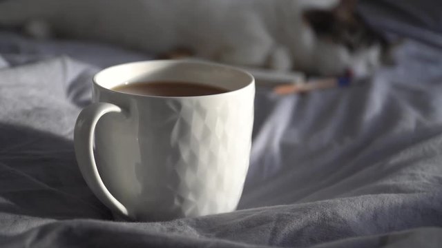 Hot cup of coffee with notebook and pencil on a bed. Cozy hygge, lagom scene of hot drink standing on a bed with minimalist grey linen. Cat sleeping on the background. Close up in 4k.