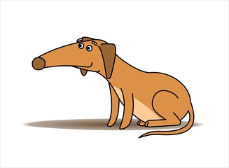 Dog. Red-haired Dachshund With a Long Nose. Funny Dachshund Sitting. Vector Image Isolated on white background.