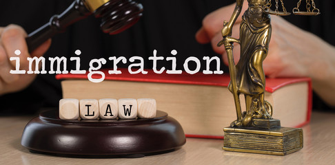 Words IMMIGRATION LAW composed of wooden dices. Wooden gavel and statue of Themis in the background.