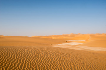 Fototapeta na wymiar Morning in the desert