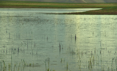 Mongolia. Sands Mongol Els dunes