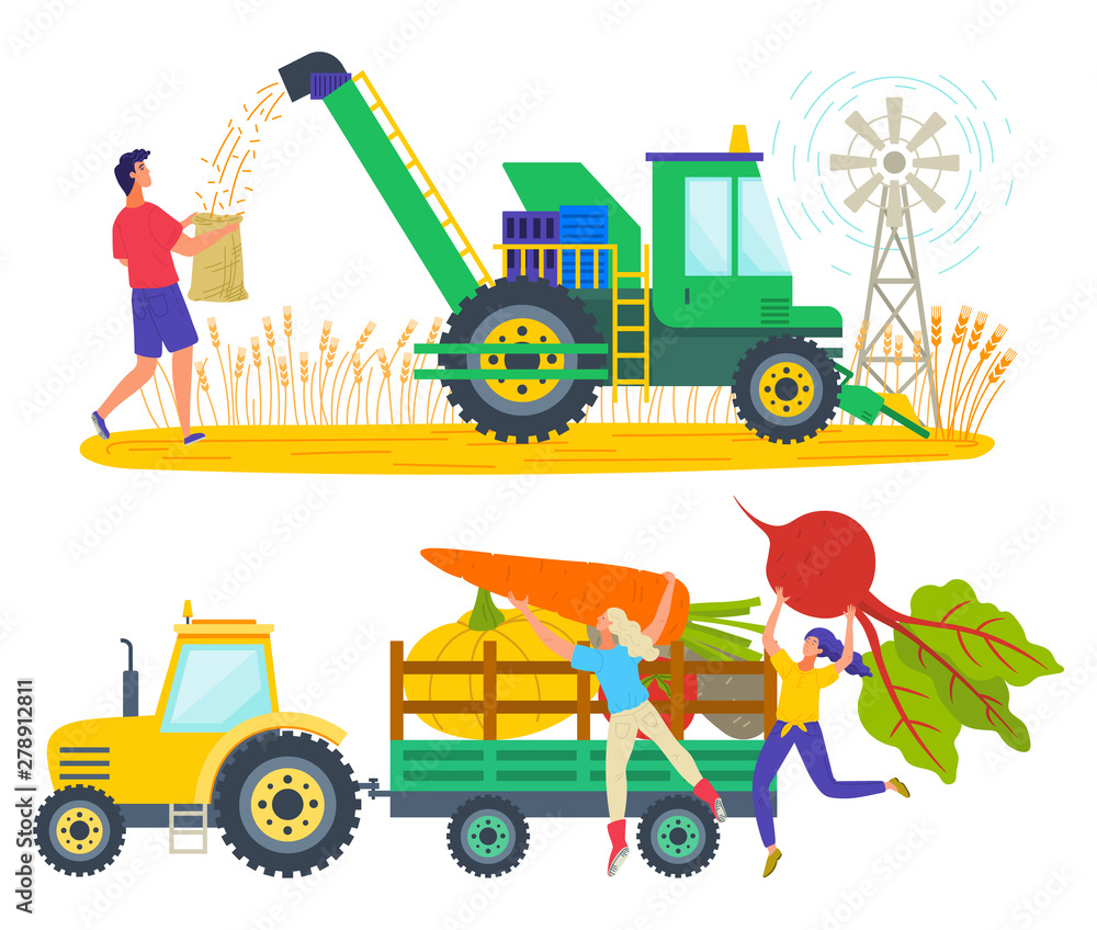 Poster man working on wheat field vector, character loading truck with products. carrots and beetroots in c