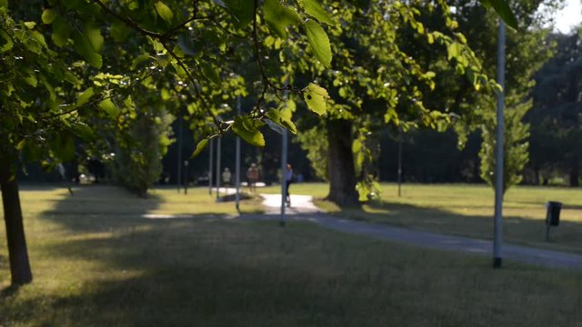 a passeggio nel parco con il proprio cane in una splendida giornata di vacanza