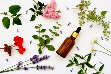 Aromatic oil in a bottle with fresh plants and flowers on a white background