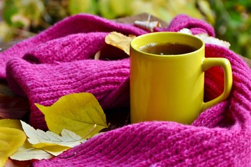 A сup of tea in the autumn morning with a warm scarf on the table with fallen leaves on the background of the autumn garden.