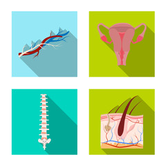 Vector illustration of body and human logo. Collection of body and medical stock symbol for web.