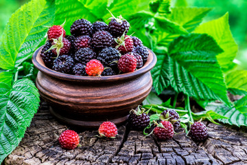 Ripe raspberry in wooden rustic bowl on table.Organic berries with peduncles and green leaves on a wooden table, top view.Summer berry harvest.