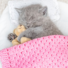 Fototapeta na wymiar Sleeping on the bed kitten hugs toy bear. Top view