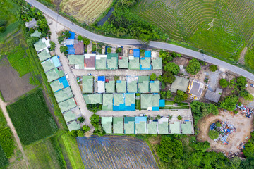 Green roof of village in suburb with rice field at countryside