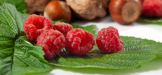 isolated image of ripe raspberries close up