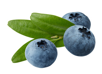 Fresh blueberries with leaf isolated on white background with clipping path
