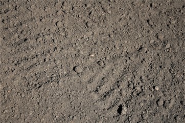 background texture of black earth