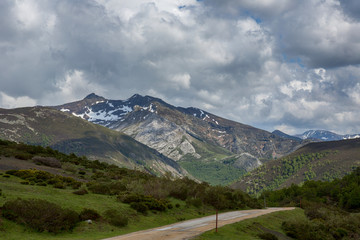 Fototapeta premium Picos de Europa national park