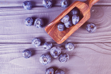 fresh blueberry in studio