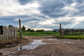 Puddle road in a rural countryside in summer in the rain