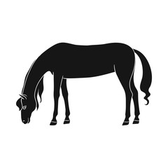 Vector illustration of horse and brown logo. Set of horse and stand stock symbol for web.