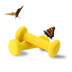 Yellow dumbbells and butterflies, isolated.