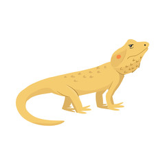 Isolated object of lizard and agama symbol. Collection of lizard and creature stock symbol for web.