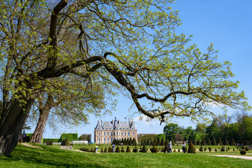 Fototapete bei efototapeten.de bestellen   