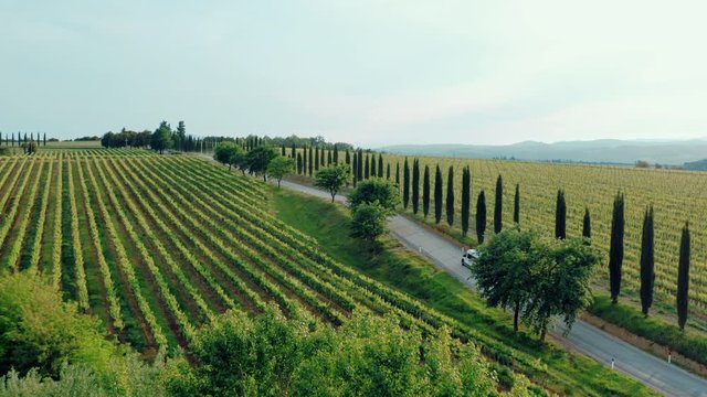 Aerial shot of a white camper van driving through the beautiful sunset landscape in Tuscany, Italy. Famous cypress trees along the road.