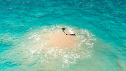 Einsame Insel mit Palme im Ozean