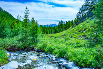 The Altai landscape with mountain river and green rocks, Siberia, Altai Republic, Russia