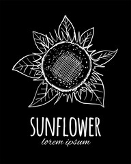 Sunflower, sketch for your design