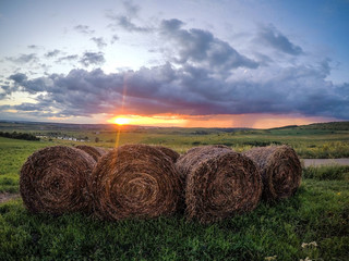 Farm