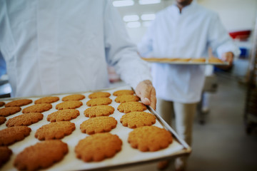 Close up of food plant workers in sterile uniforms carrying trays with cookies.