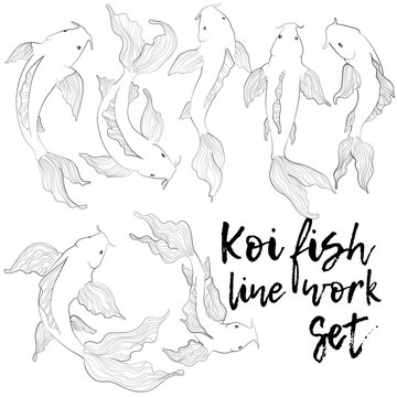 Koi fish hand draw outline illustration collection. Set of carps in line work style on white background