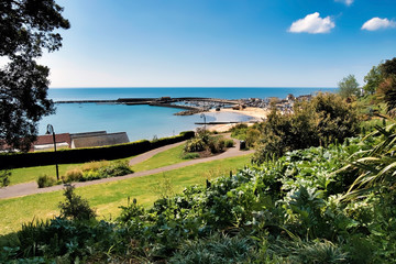 Obraz premium OLYMPUS DIGITAL CAMERA