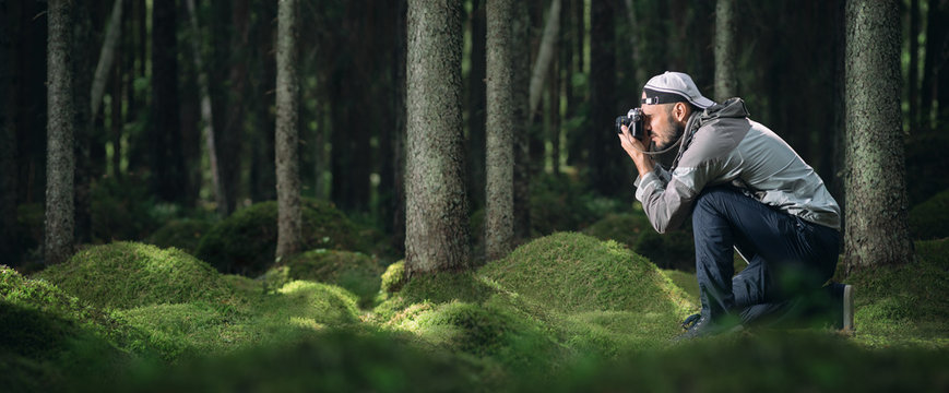 A photographer takes pictures in a pine forest.