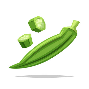 Okra Vegetable Vector Isolated Illustration