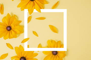 Creative composition with flowers. Yellow flowers represented on yellow background. Summer and autumn concept. Flat lay, top view, copy space