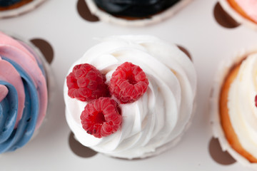 Homemade cupcakes traditional American sweet baked dessert with berries © fotofabrika