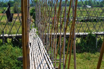 the architecture of bamboo