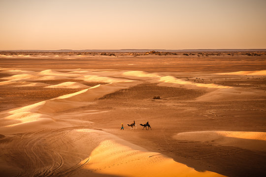 Karavane in der Sahara W&uuml;ste bei Sonnenuntergang in Marokko