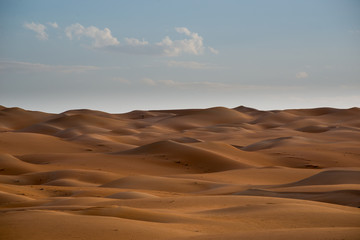 Obraz na płótnie Canvas Desert Landscape