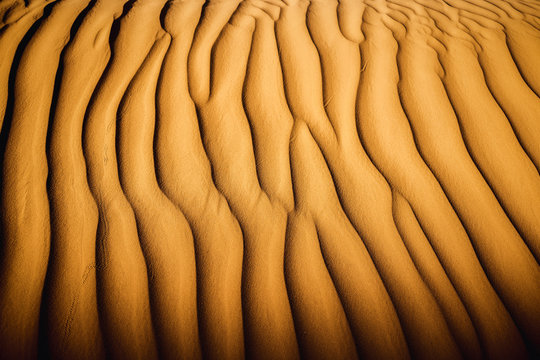 Sahara W&uuml;ste mit Sandwellen auf einer D&uuml;ne