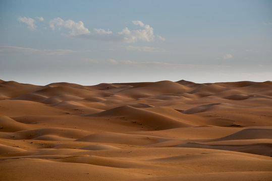 Desert Landscape © Nico