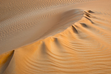 Patterns in the sand