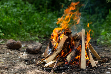 tongue fire from campfire