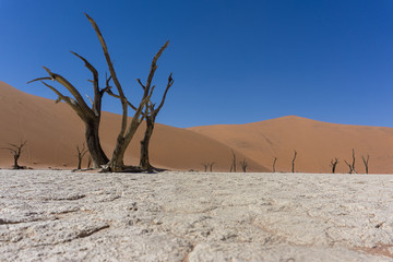 Namibia Afrika Deadvlei 